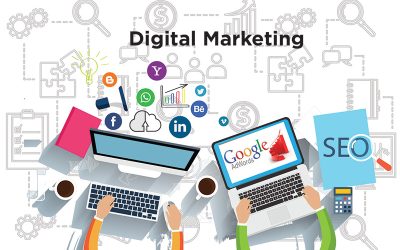 Padilirawebsolution – The Best Digital Marketing Company in Chandigarh